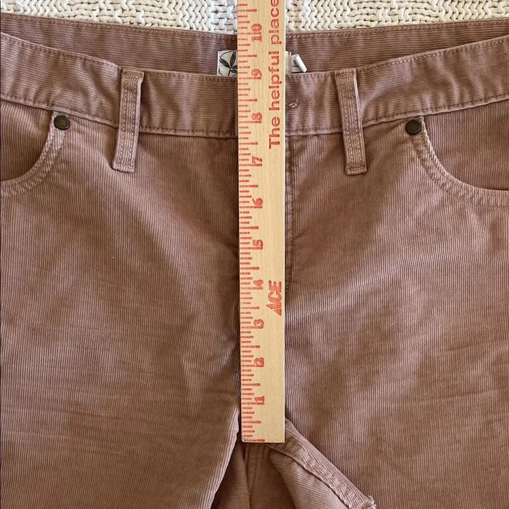 Carve Designs Oahu 4" Short in Fawn Size 10 - Picture 6 of 11